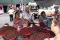 2014-11-09-12, Oaxaca - 6268